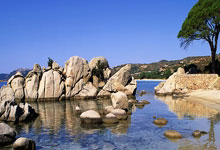 足总杯倒计时；曼城赛后迎来里程碑；细节引发关注；引发热议；训练强度明显提升的简单介绍